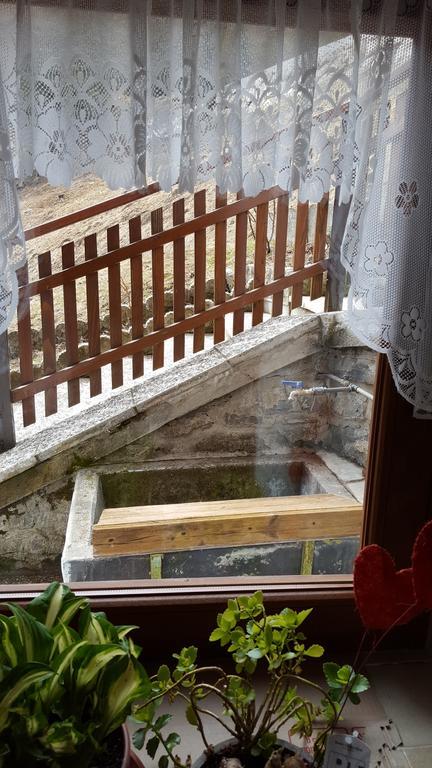 Ospitalita Diffusa Laste Dolomites - Cesa Murer Pallua Kültér fotó